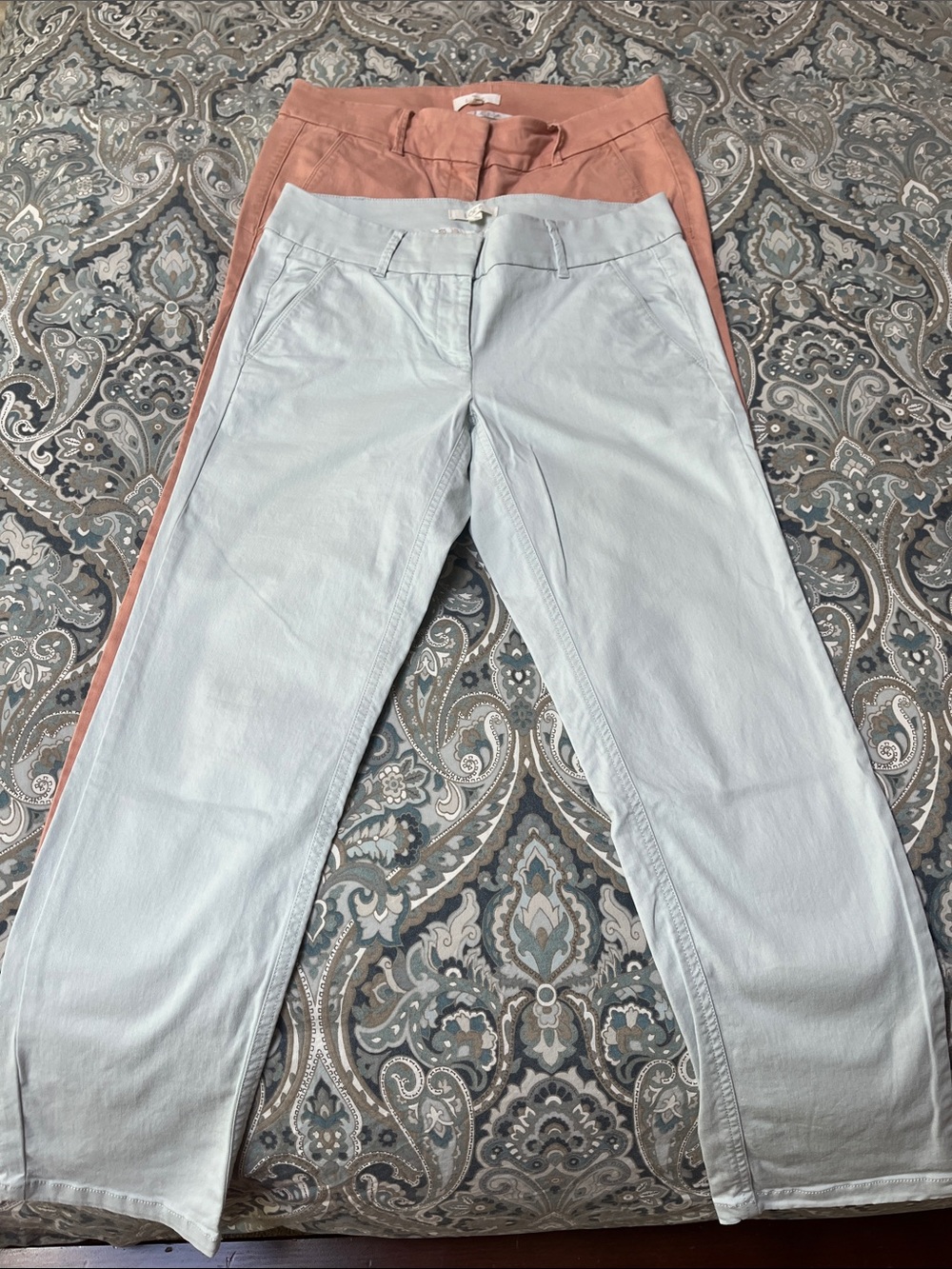 LOFT Straight Leg Chinos in Pale Blue and Dusty Rose